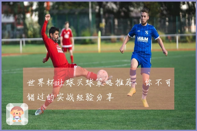 世界杯让球买球策略推荐，你不可错过的实战经验分享