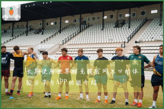 长期使用世界杯竞猜官网入口的体验分享与APP功能介绍