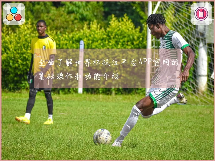全面了解世界杯投注平台APP官网的基础操作和功能介绍