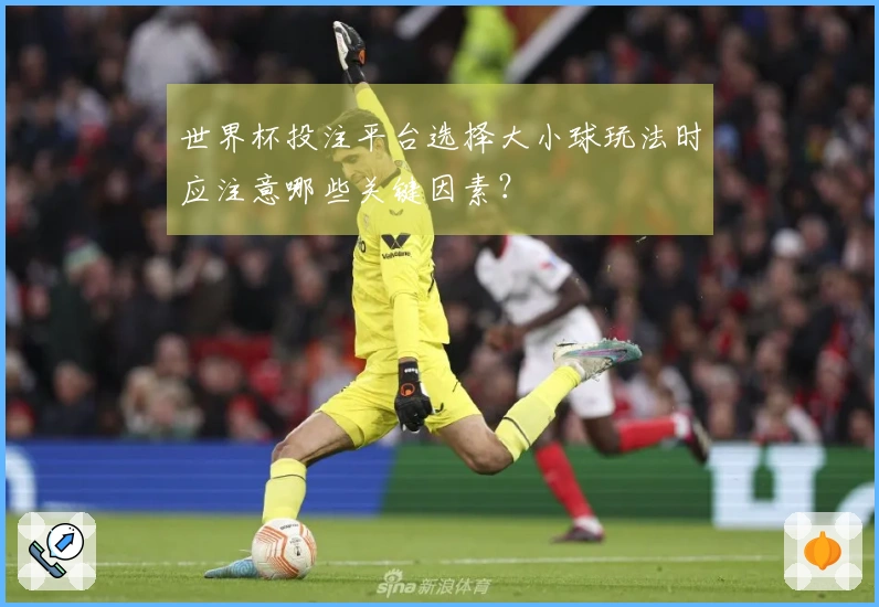 世界杯投注平台选择大小球玩法时应注意哪些关键因素?