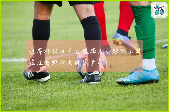世界杯投注平台选择大小球玩法时应注意哪些关键因素？