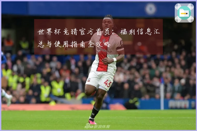世界杯竞猜官方首页：福利信息汇总与使用指南全攻略