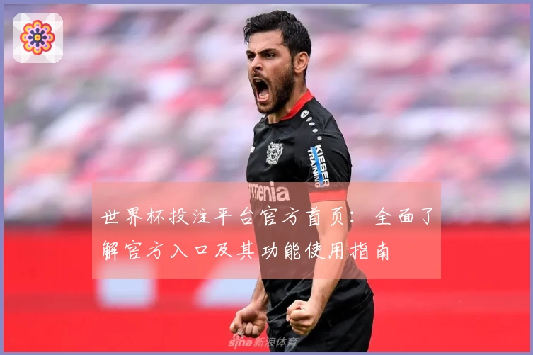 世界杯投注平台官方首页：全面了解官方入口及其功能使用指南