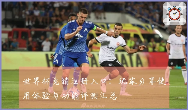 世界杯竞猜注册入口：玩家分享使用体验与功能评测汇总