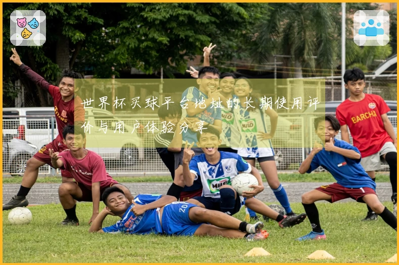 世界杯买球平台地址的长期使用评价与用户体验分享