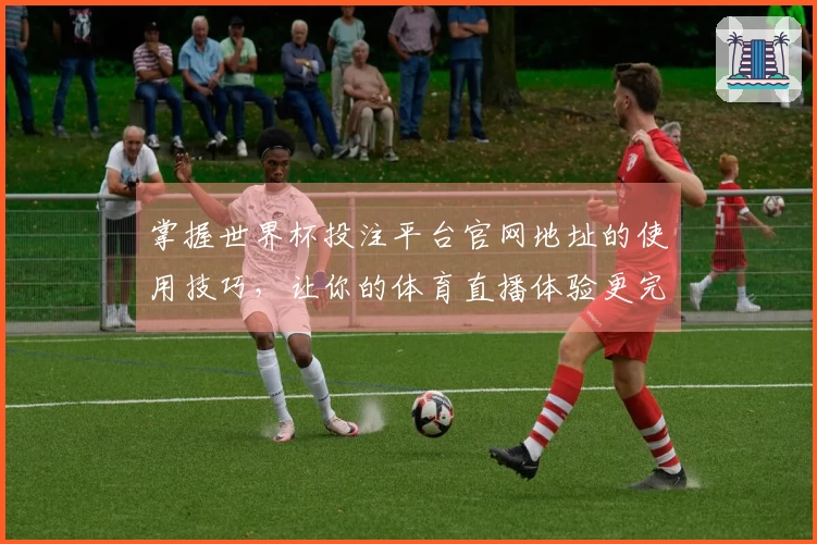 掌握世界杯投注平台官网地址的使用技巧，让你的体育直播体验更完美